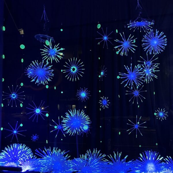 PDXWLF installation, Frangible Dreams detail